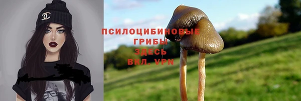 ГАЛЛЮЦИНОГЕННЫЕ ГРИБЫ Балабаново