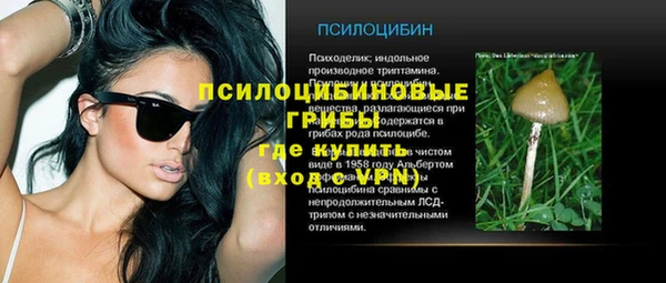 крисы Армянск