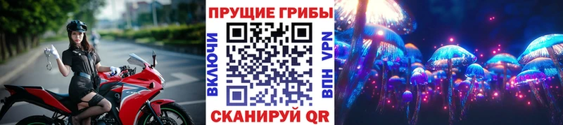 Галлюциногенные грибы Psilocybe  ОМГ ОМГ ТОР  Новый Уренгой  как найти закладки 